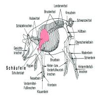 images/schaeufele/galerie schaeufele/01_SCHWEINSchnitt.jpg